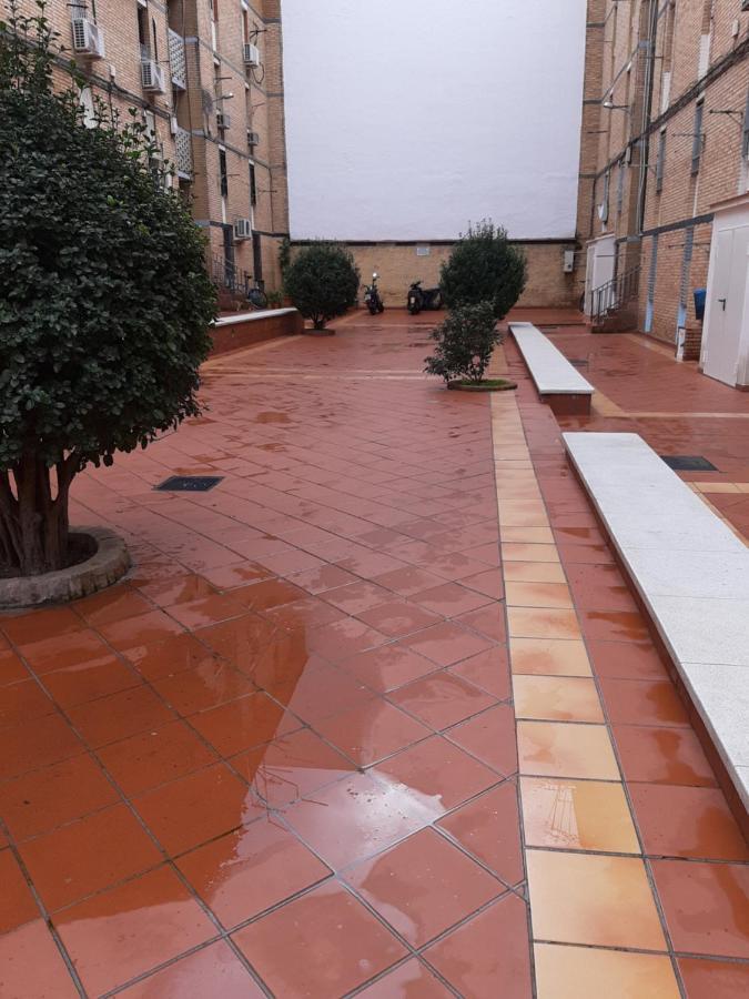 Apartament Ribera Del Quivir Kordoba Zewnętrze zdjęcie